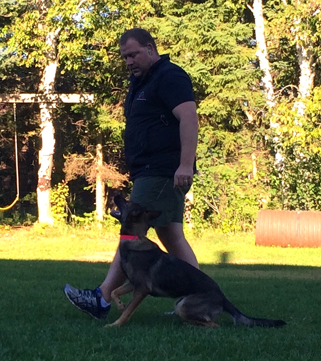 Modern Day Dog Training With Unleashed Potential. NePoPo