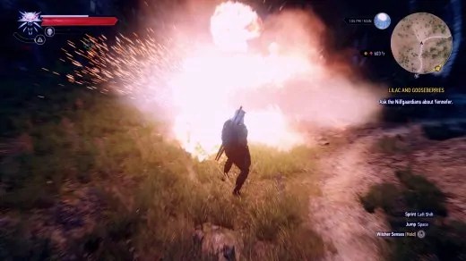 60 Best Witcher 3 Mods in 2020 Toss a Mod to your Witcher