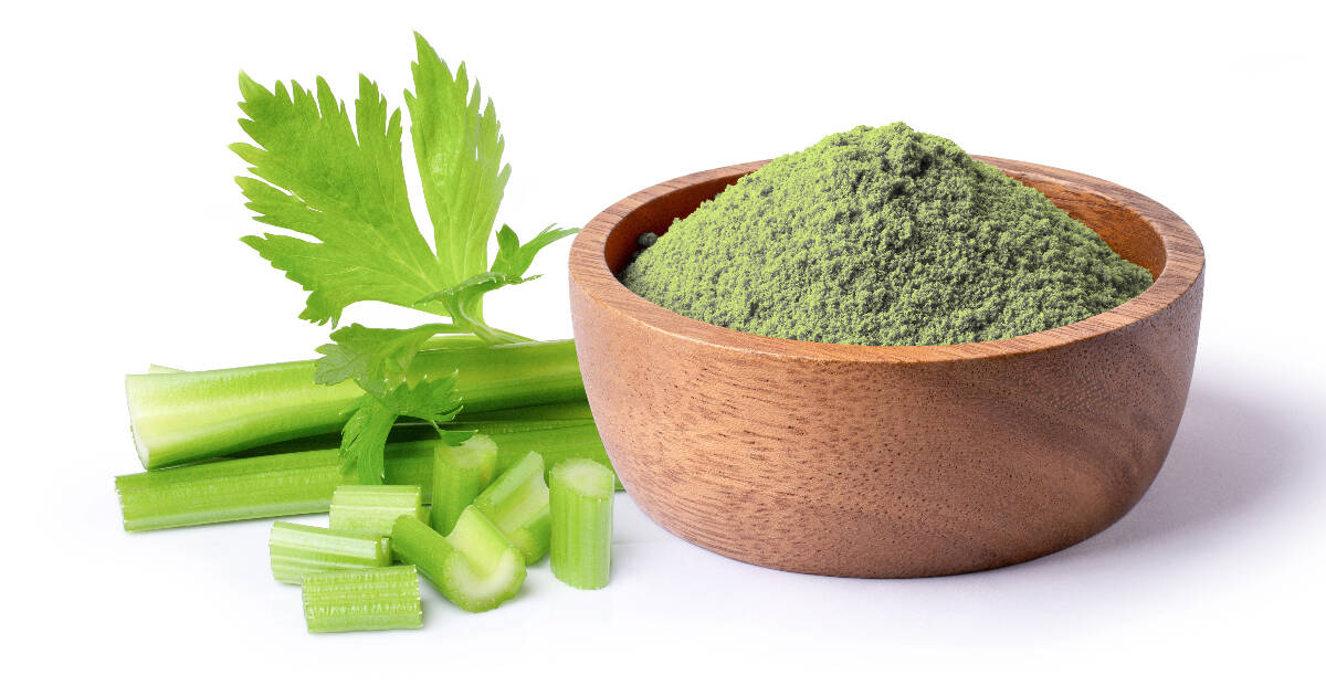 10 Celery Powder Substitutes » Unlimited Recipes