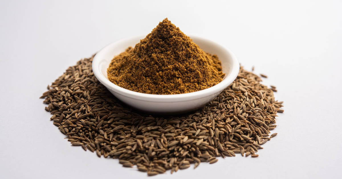 11 Cumin Powder Substitutes » Unlimited Recipes