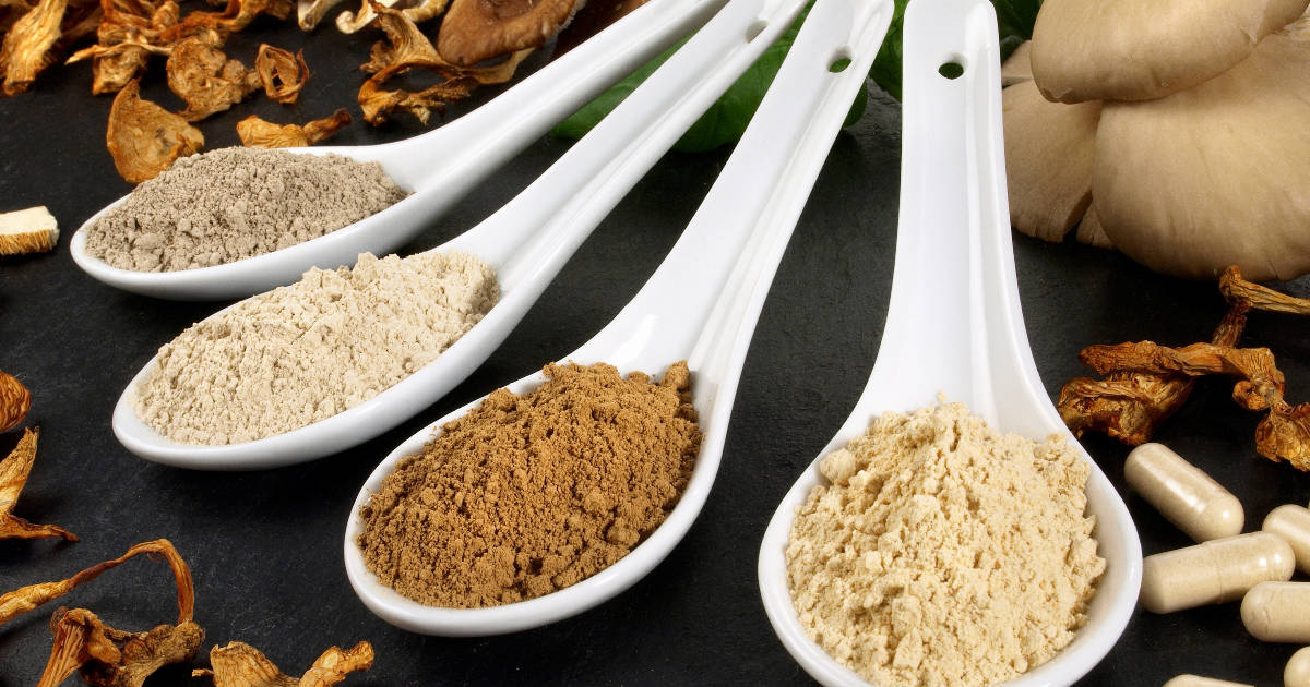 Homemade Mushroom Powder Recipe » Unlimited Recipes