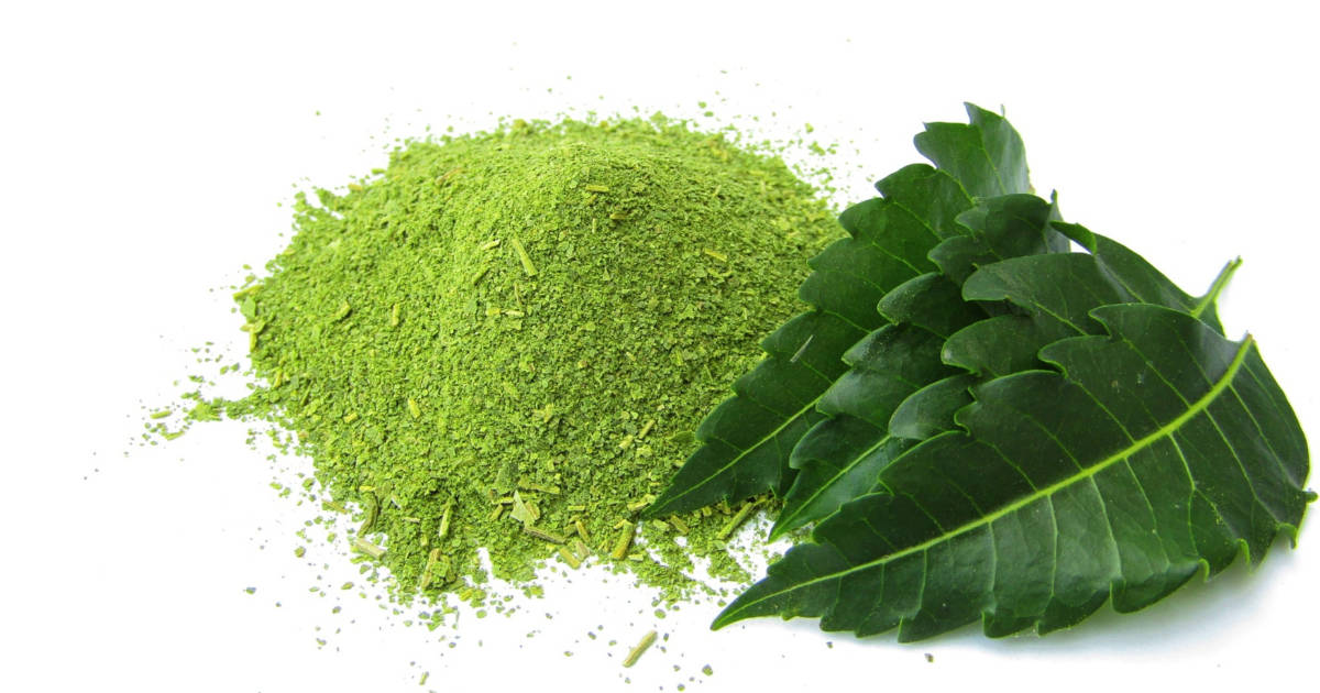 Does Neem Powder Expire? » Unlimited Recipes