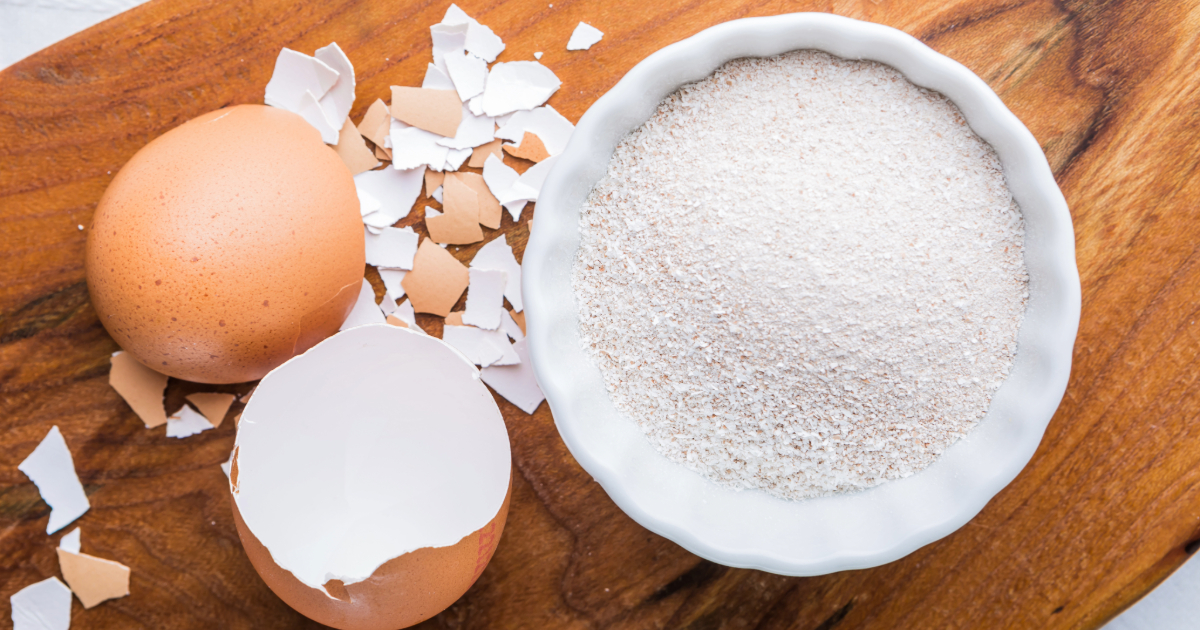 Eggshell Powder Uses » Unlimited Recipes