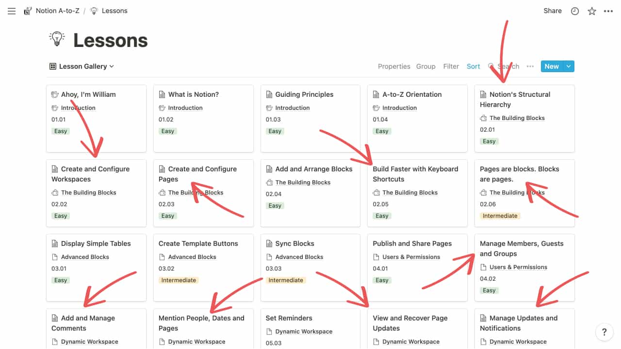 Unwrapping Notion’s Newest Features Notion VIP