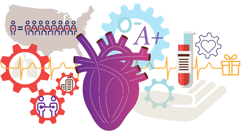 Organ Transplant US Organ Donation System UNOS