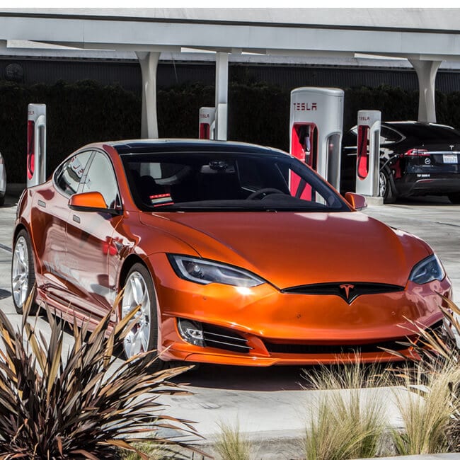 Car Interior Vinyl Wrap Singapore Two Birds Home