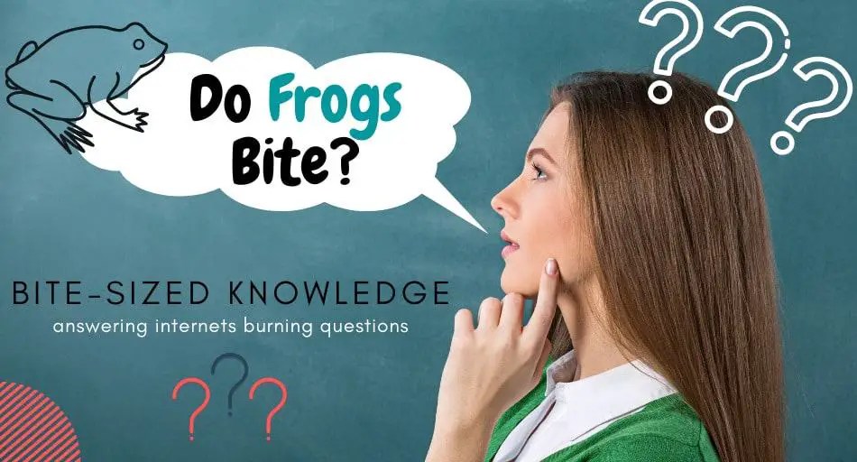 Do Frogs Bite? BiteSized Knowledge UntamedAnimals