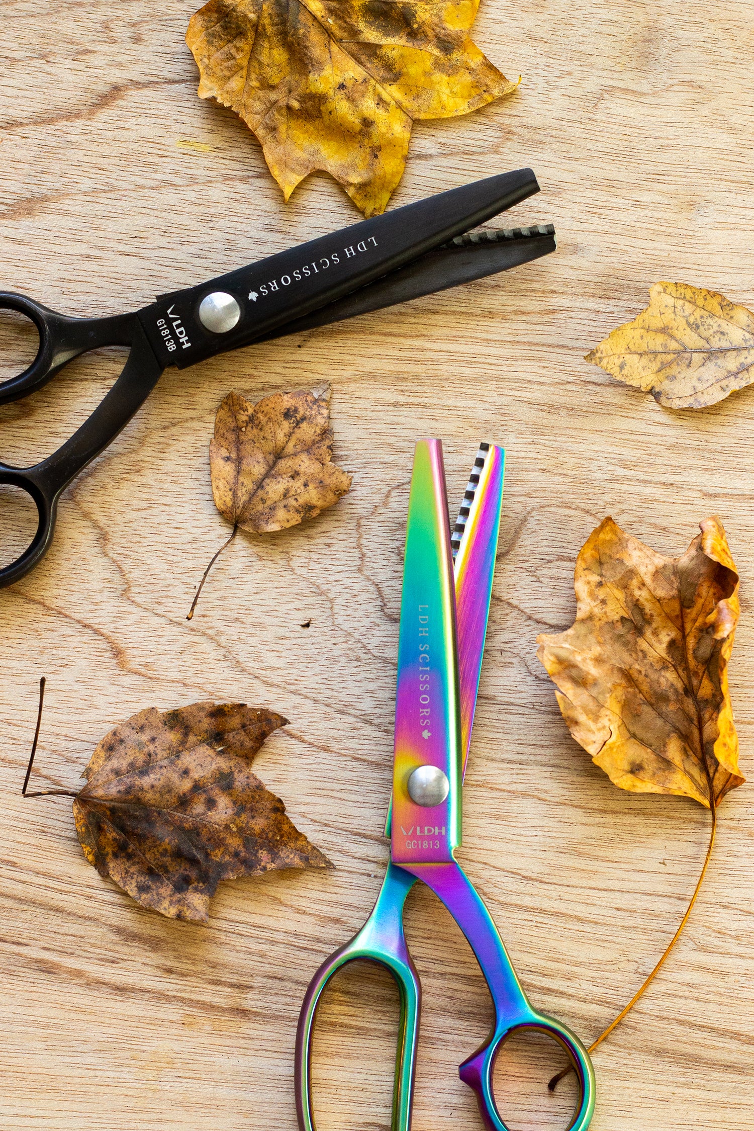 2 Years of LDH Scissors Untitled Thoughts