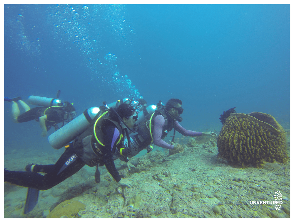 Andaman Scuba Dive Tour