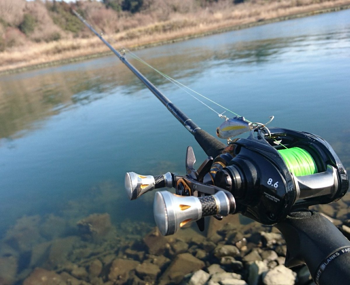 2月涸沼川セイゴ釣り｜魚LOG
