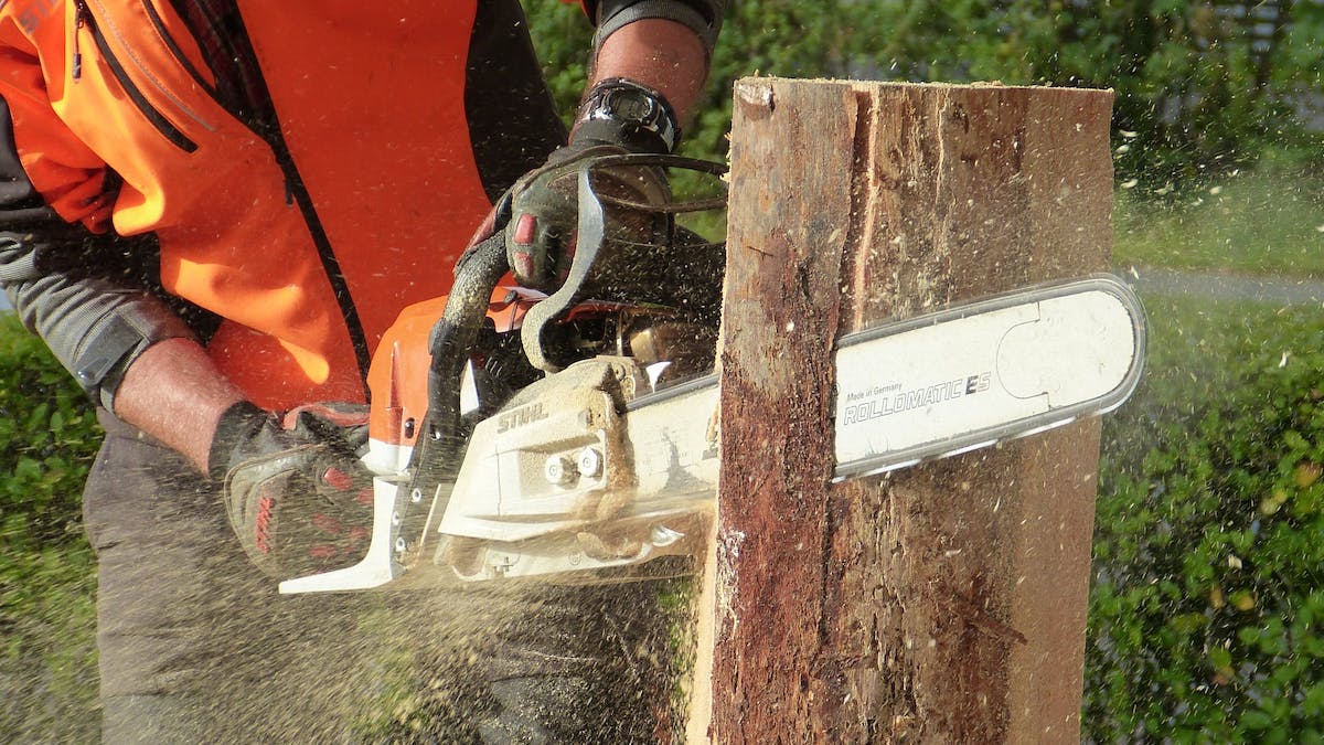 Corso Per Operatori Di Decespugliatore E Motosega 675_x_1200_jpg