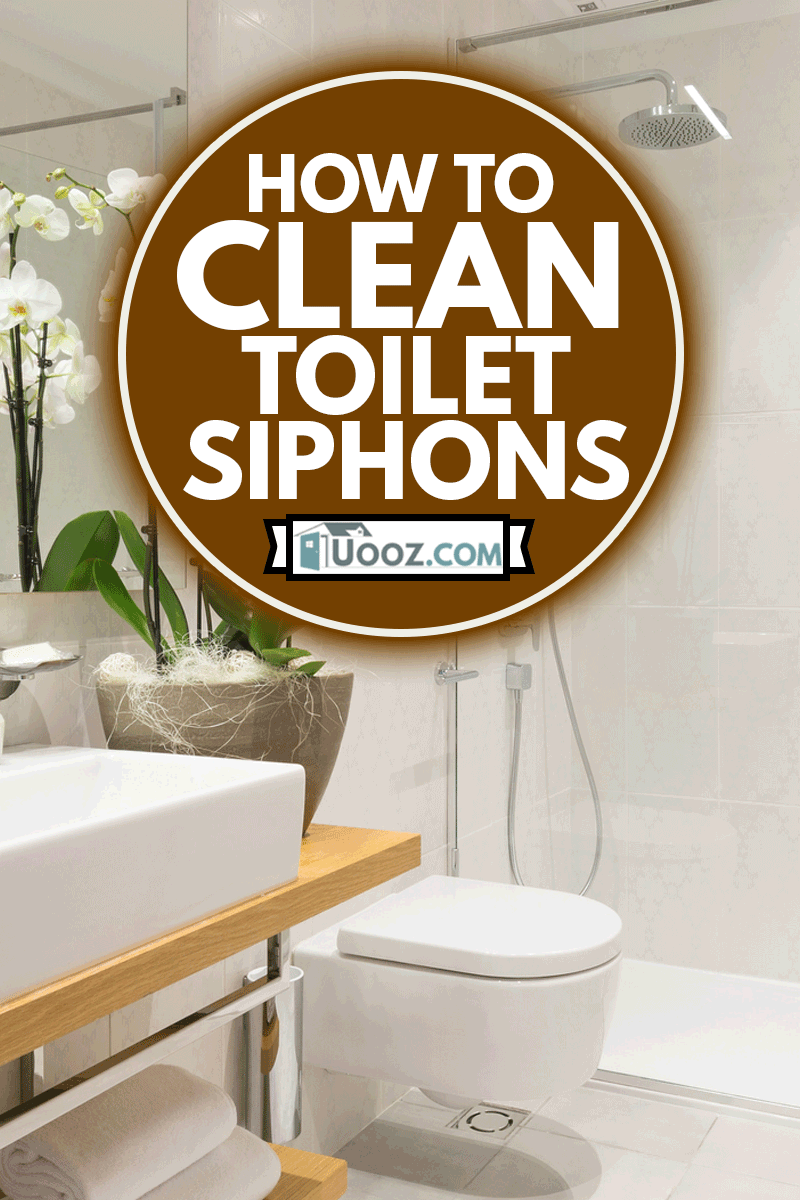 How To Clean Toilet Siphons