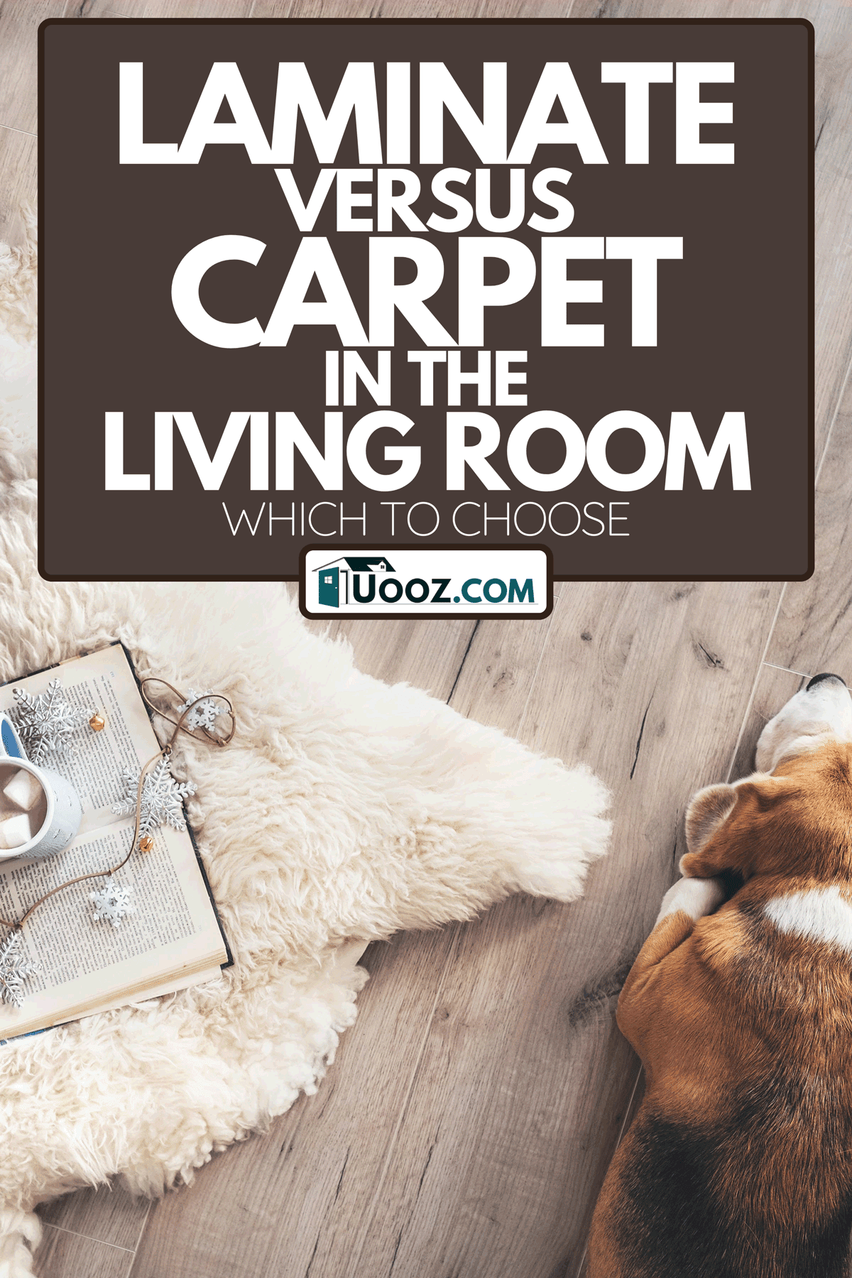 Laminate Vs. Carpet In The Living Room Which To Choose