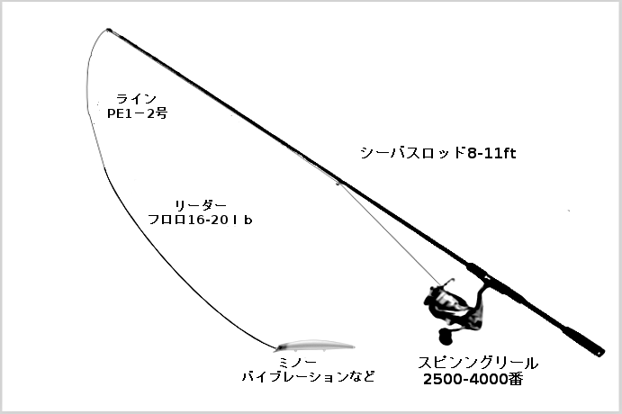 50+セイゴ 釣り 仕掛け 魚のすべて