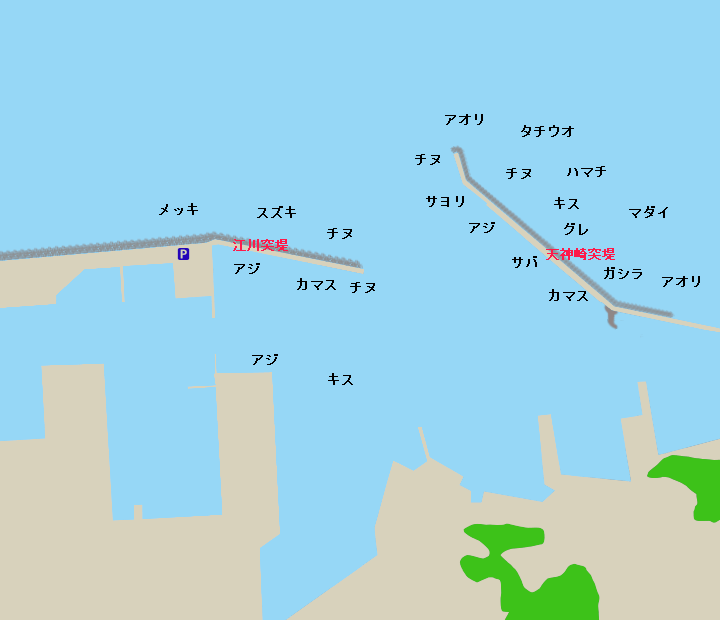 田辺港の釣り情報 魚速報