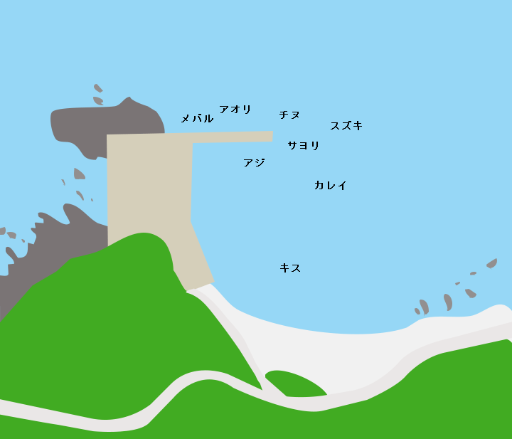 蒲井漁港の釣り情報