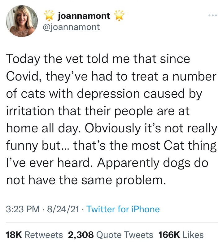 Do Cats Hate Us?