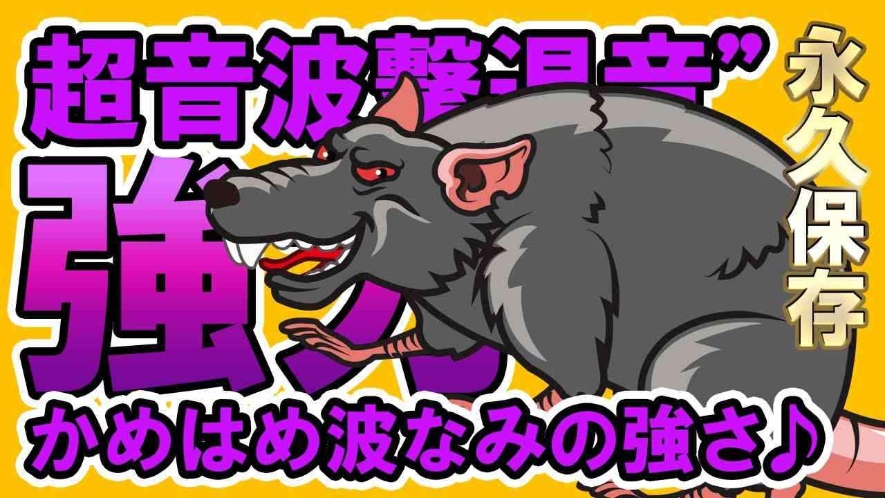 【SOS】ネズミ撃退法方 ガールズちゃんねる Girls Channel