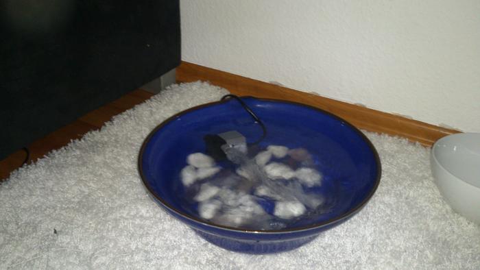 Trinkbrunnen Katze Selber Bauen Wayneegade