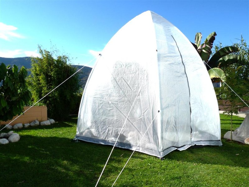 Palmen » Erfahrungen mit Palmenzelt zur Überwinterung?