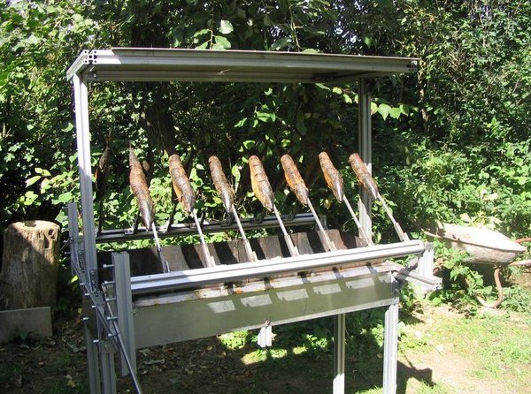 Gegrillte Makrele / Forelle Heute gibts