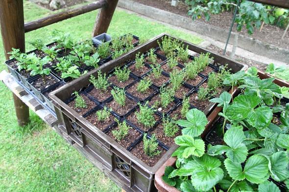 Eure Arbeitsplätze im Garten - Mein schöner Garten Forum