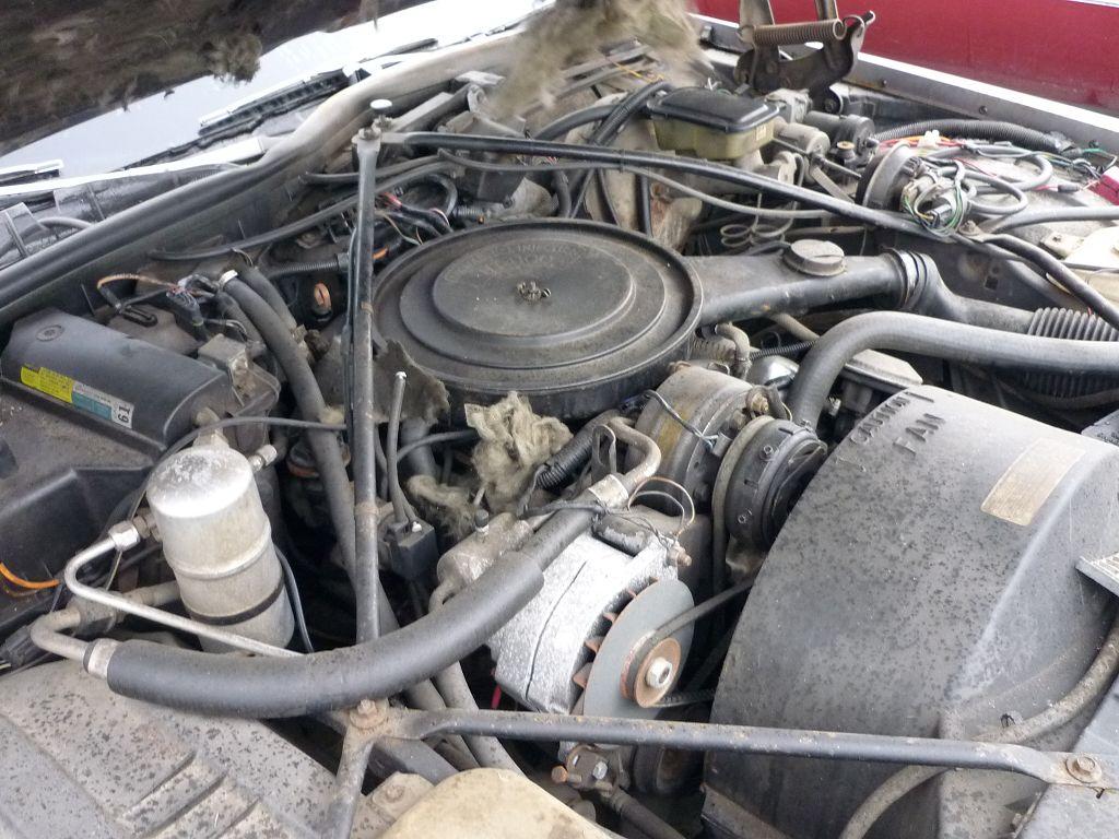 1983 Fleetwood Brougham d'Elegance Project