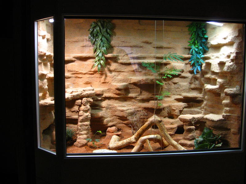 Beleuchtung und Luftfeuchtigkeit im Terrarium DGHTForen