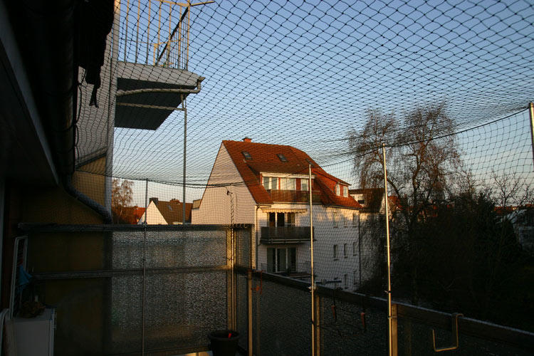 Unser Dachbalkon wird endlich katzensicher Katzen Forum