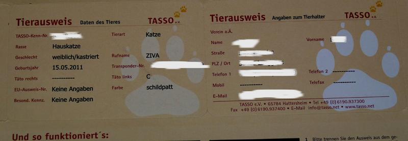 Katzen Forum Überprüfung TassoChip