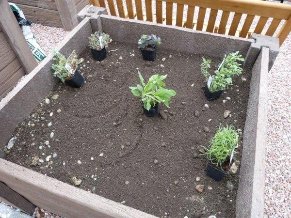 Ein verwandelt sich Fotodokumentation update