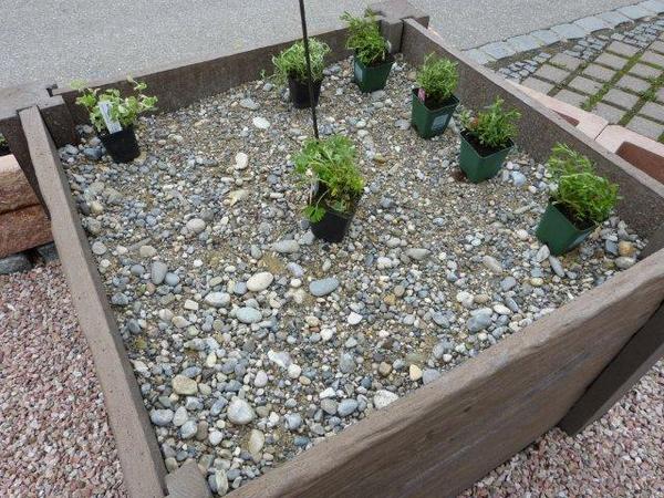 Ein verwandelt sich Fotodokumentation update