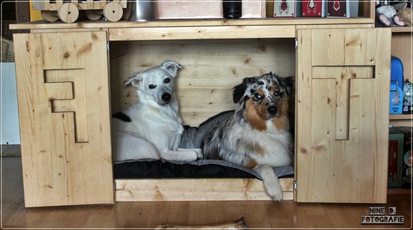 Hundebox Bauen Holz gartenbank holz selber bauen