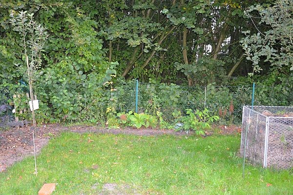 Page 14 Mein schöner Garten Forum