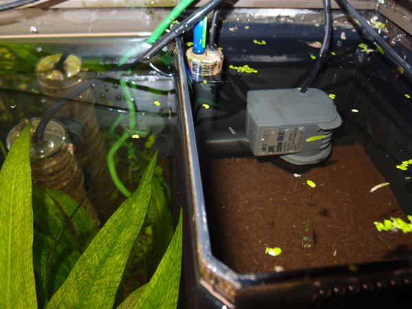 Innenfilter Juwel Pumpe für Innenfilter Aquarium Forum