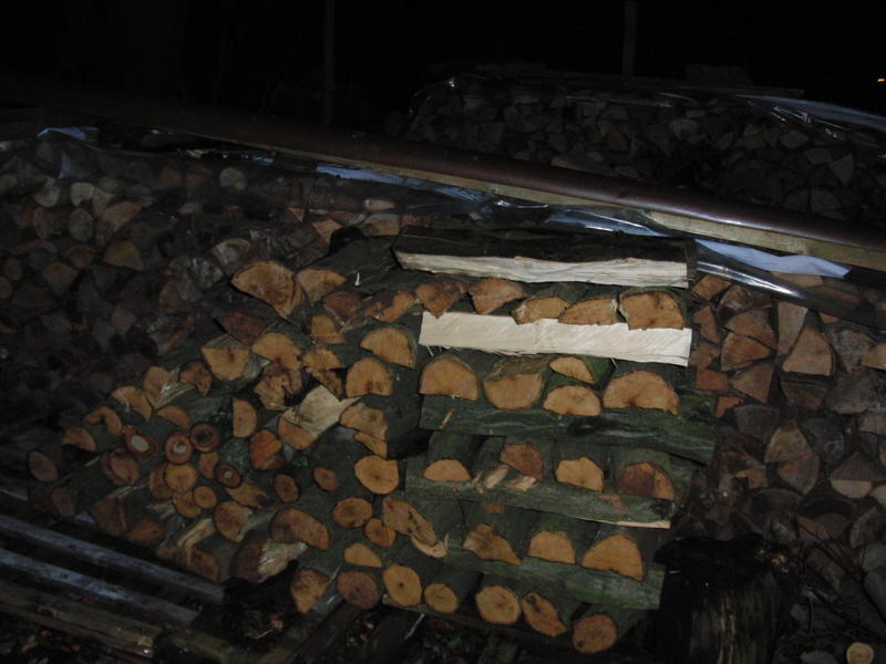 Handsaege´s Bilder • MotorsägenPortal