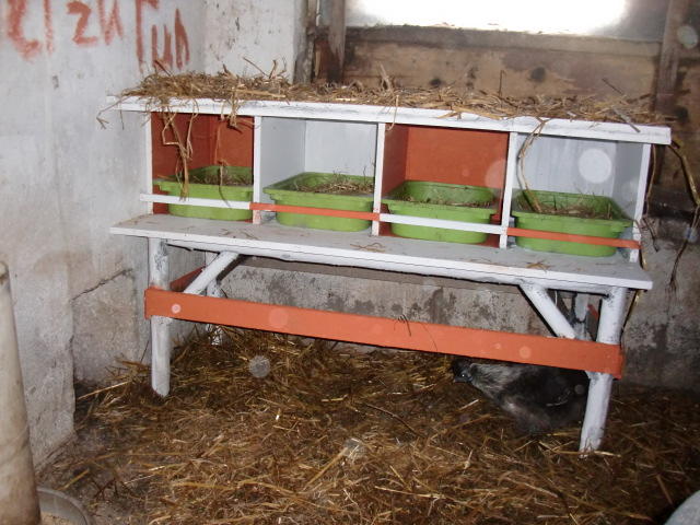 LegenestInspirationen (bitte nur Bilder) Seite 5