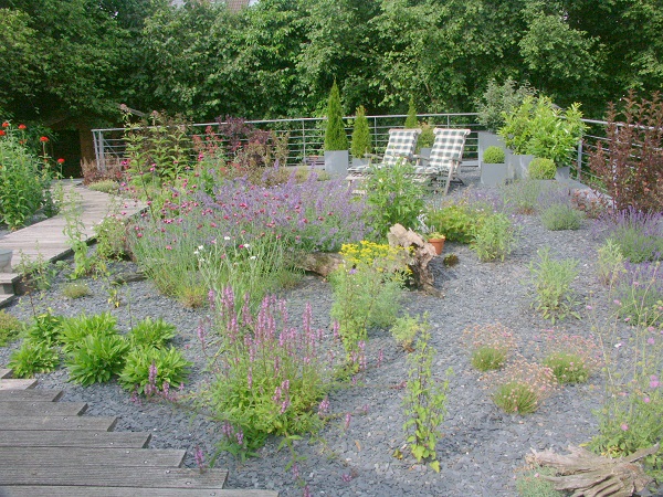 Neugestaltung von Kiesbeet im Frühjahr Page 4 Mein schöner Garten Forum