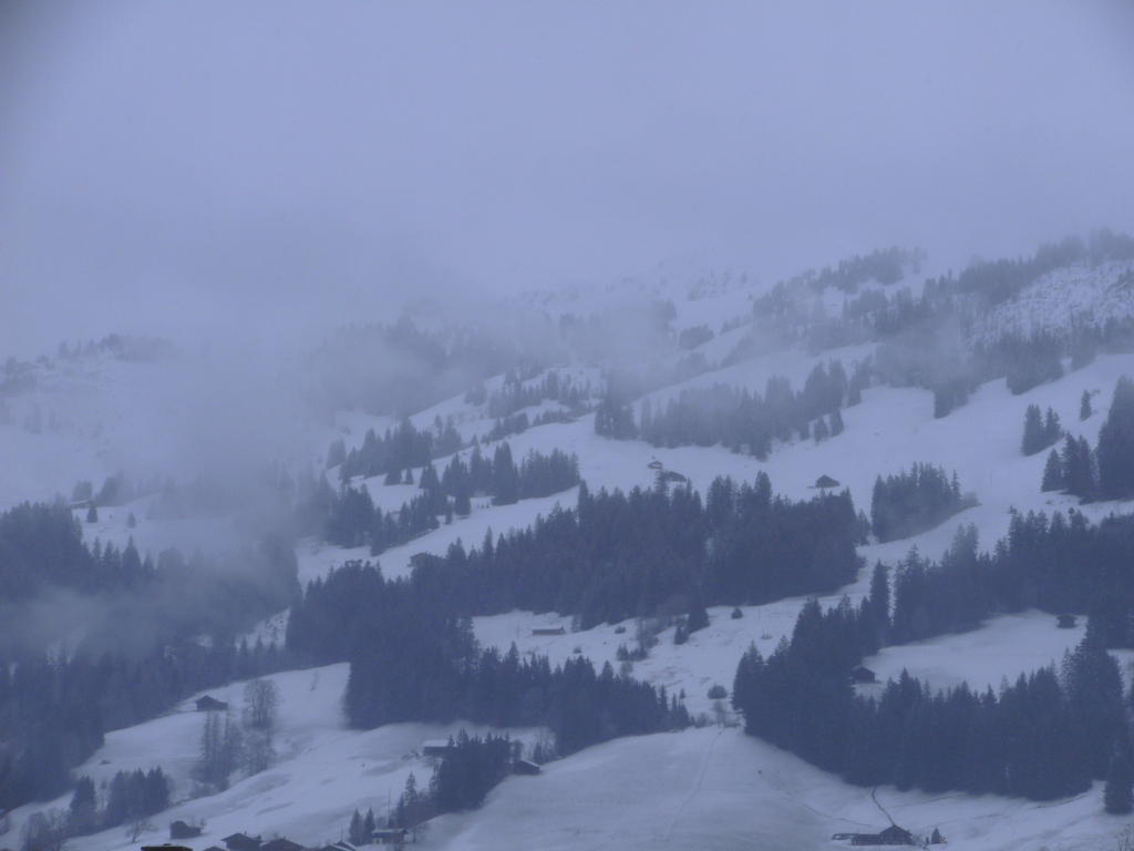 Simmental 01.04.03. 2014