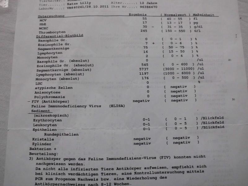 Nierenkrise bei CNI? Diabetes? bitte um Hilfe vor TABesuch mit 15 j