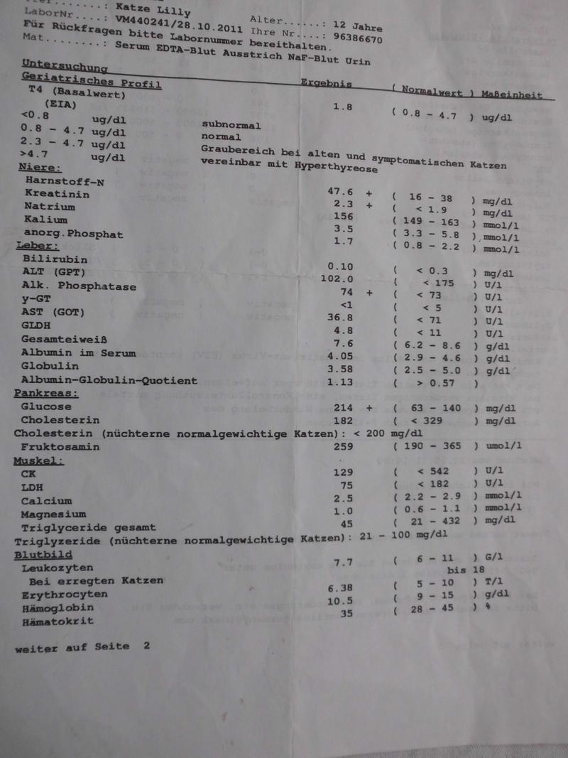 Nierenkrise bei CNI? Diabetes? bitte um Hilfe vor TABesuch mit 15 j