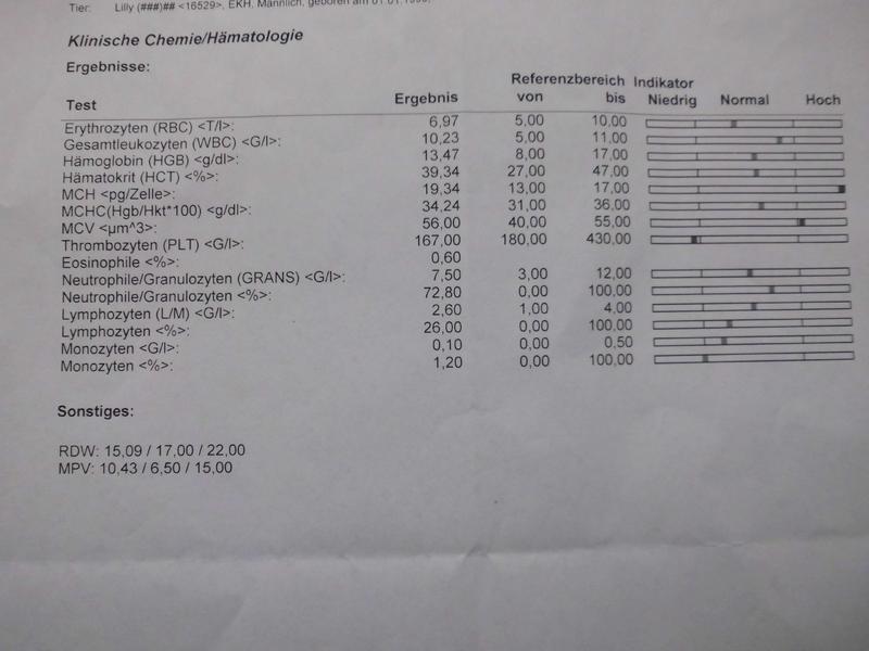 Nierenkrise bei CNI? Diabetes? bitte um Hilfe vor TABesuch mit 15 j