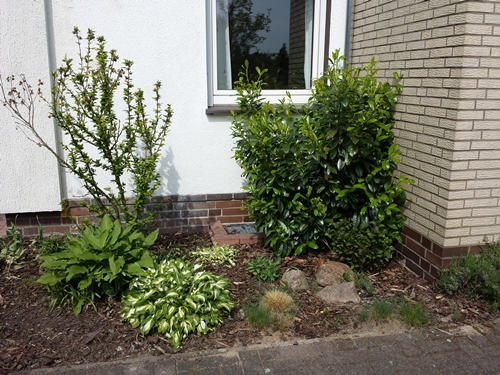 Ecke an Hauswand kreative Ideen gesucht! Mein schöner