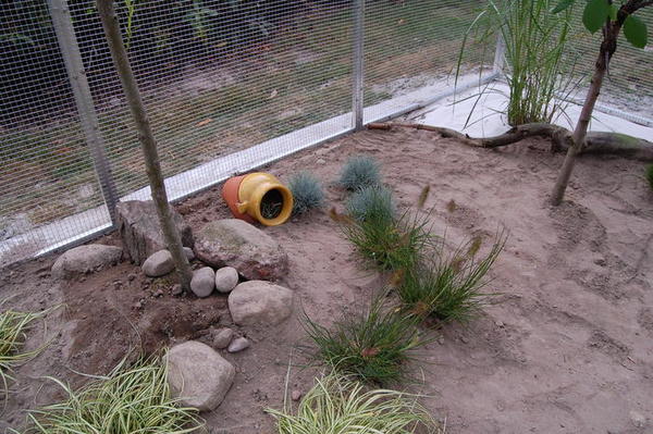 Außenvoliere besatzung und Pflanzen