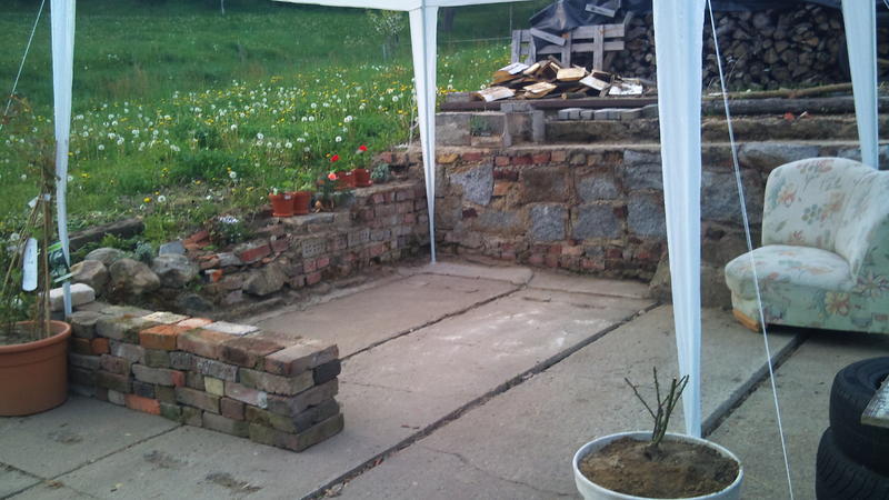 Welche pflanze in Mauerritze ca 10 cm über boden Mein schöner Garten