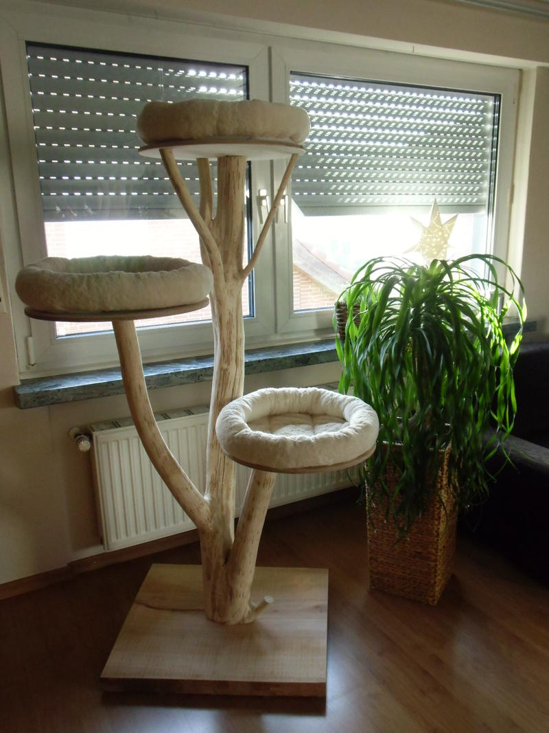 Außergewöhnliche kratzbäume Katzen Forum