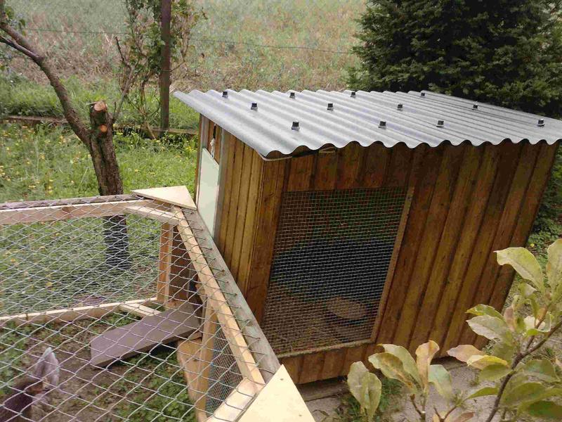 wieviel Platz brauch die glucke???