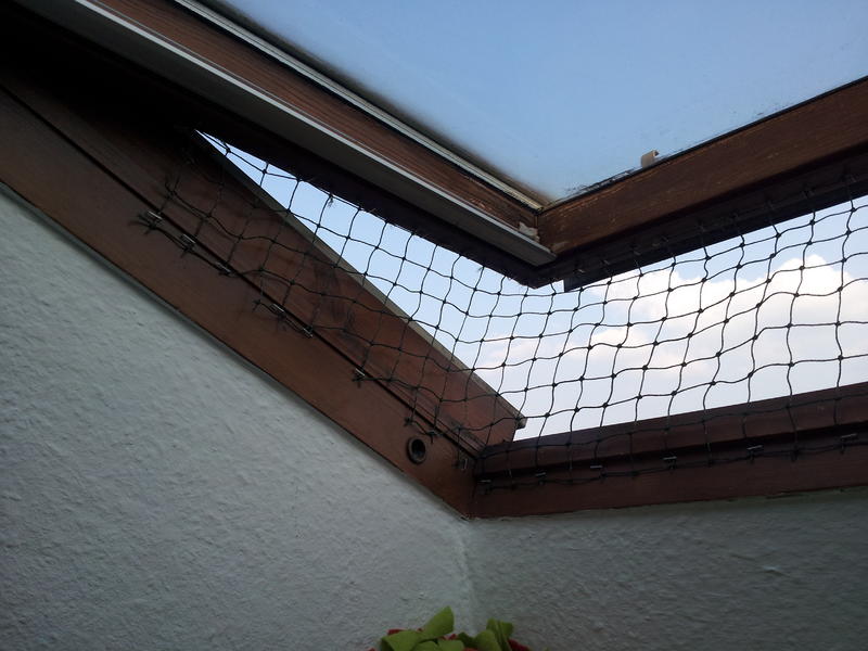 Fenstersicherung für Dachfenster Katzen Forum