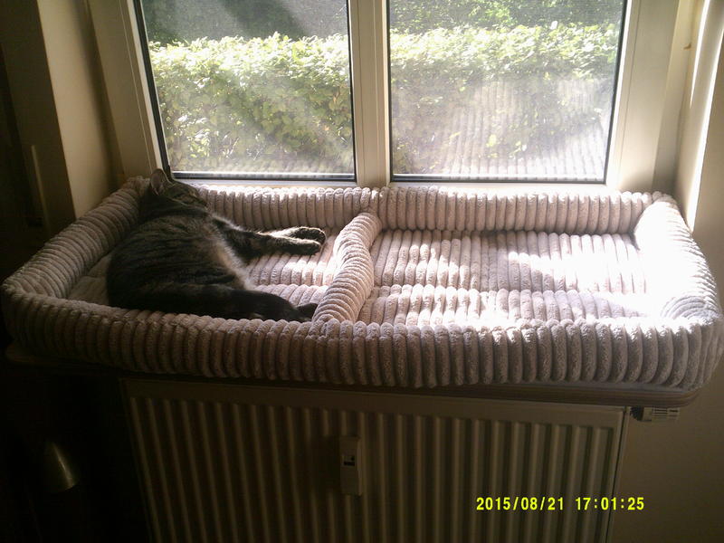 Wie gemütlich habt Ihr die Fensterbänke für die Fellnasen ? Katzen Forum
