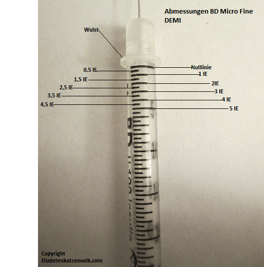 Insulin spritzen katze. Diabetes bei Katzen. 20190817